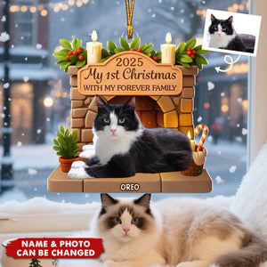 Christmas Acrylic Ornament - Personalized Christmas Birthday Gifts For Dog Lovers