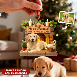 Christmas Acrylic Ornament - Personalized Christmas Birthday Gifts For Dog Lovers