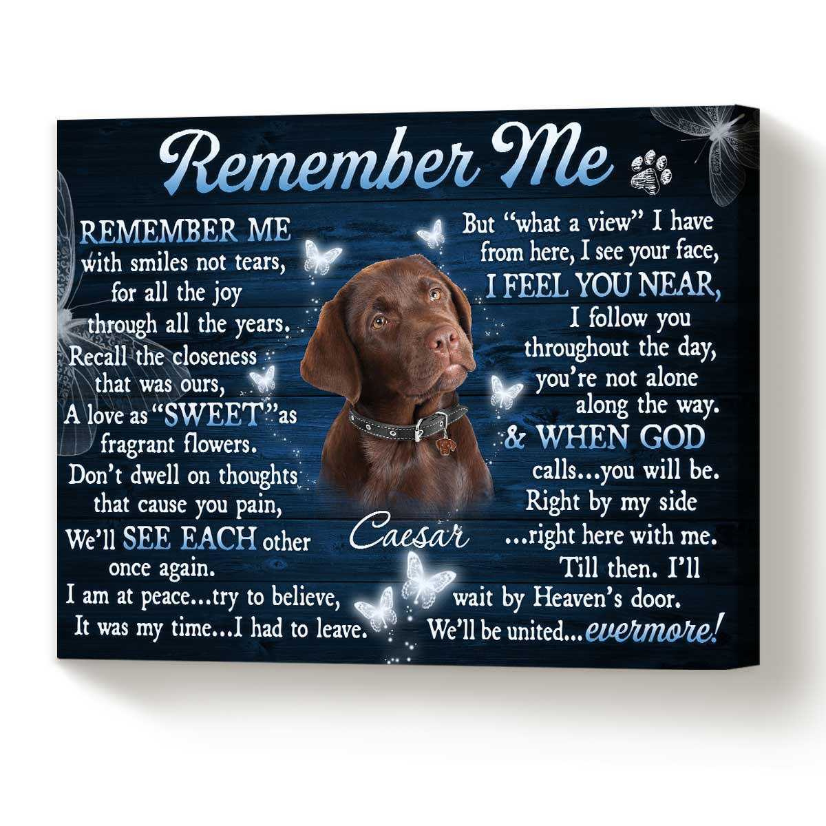 Gift For Someone Who Lost A Pet, Personalized Pet Memorial Canvas, Remember me