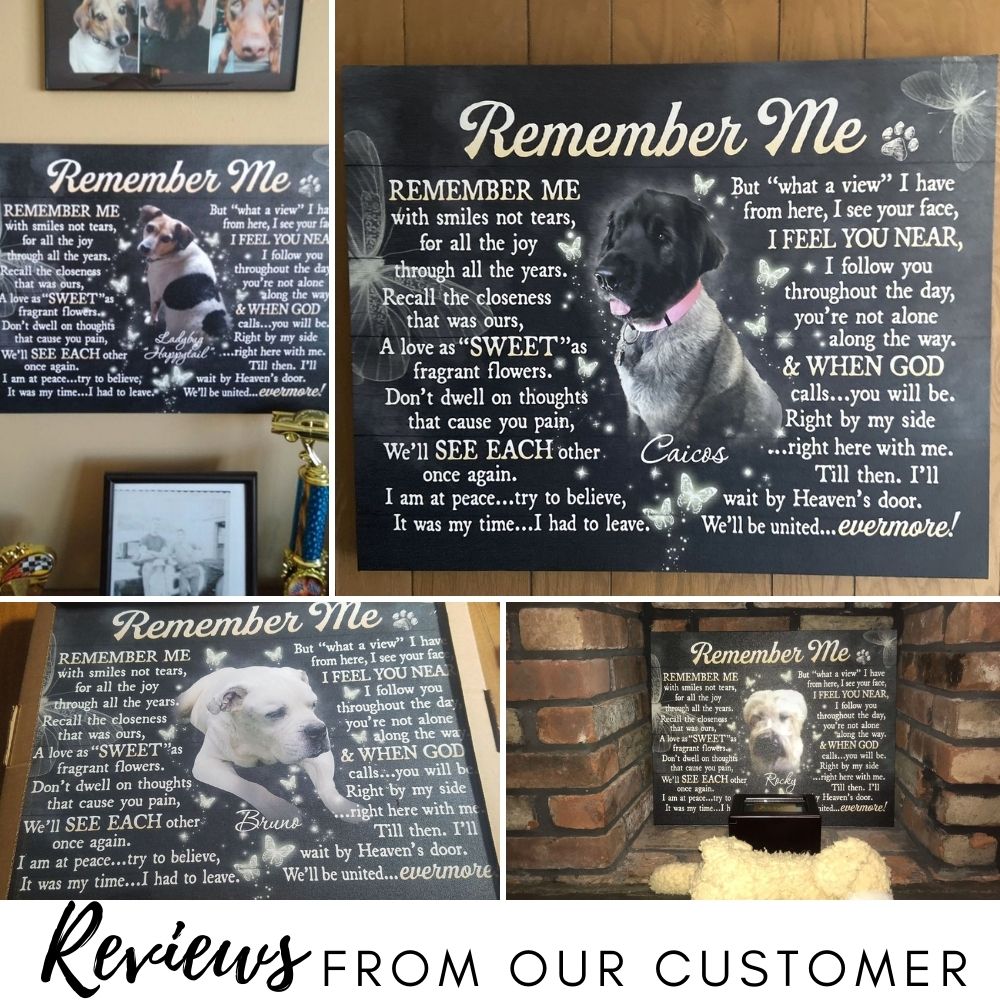 Gift For Someone Who Lost A Pet, Personalized Pet Memorial Canvas, Remember me